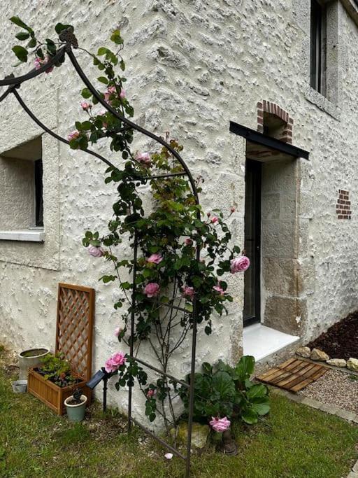 Gite Du Chat Roux La Chapelle-Saint-Martin-en-Plaine 외부 사진